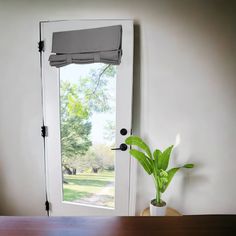 a potted plant sitting on top of a wooden table in front of a window