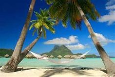 hammock between two palm trees on the beach