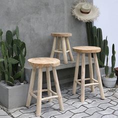 three wooden stools in front of a cement wall with cactus and cacti