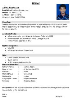 a professional resume with no work experience is shown in this image, it shows the profile and