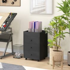 a black filing cabinet sitting next to a potted plant