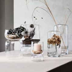 three glass vases with plants in them on a table