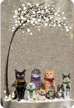 a group of cats sitting in front of a tree with snow falling on the ground