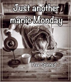 a poster with the words just another manic monday free spirited hair dryer and cupcakes