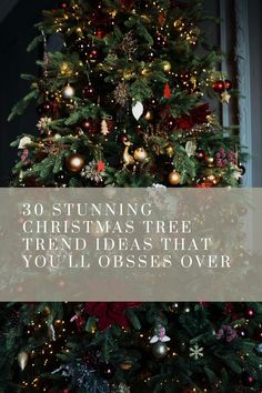 See more here: https://byannabellerose.com/30-stunning-christmas-tree-trend-ideas-that-youll-obsess-over/ Here are 30 stunning Christmas tree trend ideas for 2021 that you will be obsessed with! Modern Traditional Christmas Tree, Christmas Tree Trends 2023/24, Thanksgiving Christmas Tree Ideas, Tree Inspo Christmas, Stunning Christmas Trees, Real Christmas Tree Decorations, Decorating Real Christmas Trees, Colored Lights Christmas Tree Decorating, 12 Foot Christmas Tree Decorations