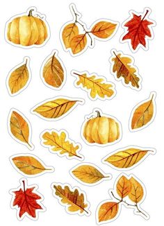 autumn leaves and acorns stickers are shown in yellow, orange, and red