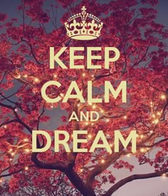 a poster with the words keep calm and dream written in front of a large tree