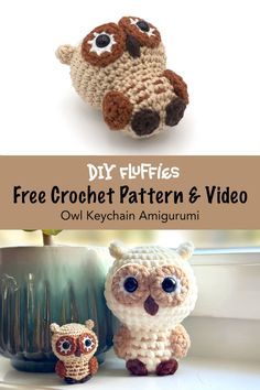 two crocheted owls sitting next to each other on a window sill with text overlay that says diy stuffedies free crochet pattern and video owl keychain amigurmi