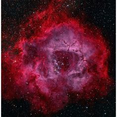 The Rosette Nebula Poster Print by Michael Miller/Stocktrek Images Image 1 Star Clusters, Astronomy Pictures, Star Cluster, Space Wall Art, Michael Miller, Buy Prints, Fine Arts Posters, Wall Art Canvas Prints