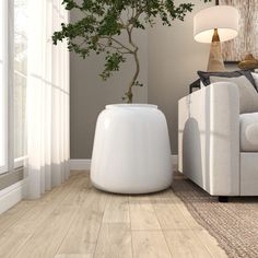 a living room with white furniture and a tree in the corner