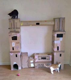 a cat is standing in front of cardboard boxes that are stacked on top of each other