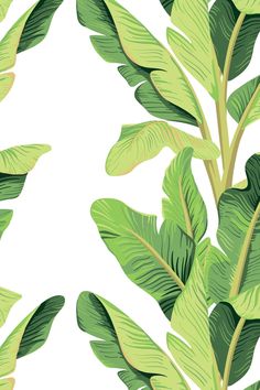 a green plant with large leaves on a beige background, seamless wallpaper pattern