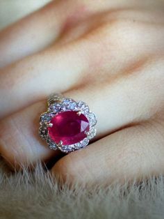 RockRichGems Presents. Gorgeous Genuine 12x10 MM Oval Shape Ruby With Diamond In Solid 10K white Gold Ring. Size 6 1/4 Oval Shape, Dream Jewelry, Solitaire Ring, White Gold Rings, Ruby, Heart Ring, Gold Rings, Jewelry Rings, White Gold