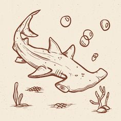 a drawing of a shark swimming in the water