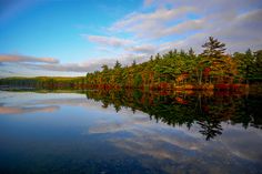 a lake surrounded by trees with clouds in the sky and water reflecting it's colors