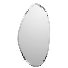 an oval shaped mirror on a white background