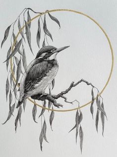 Kingfisher Art Drawings, Kingfisher Tattoo Black And White, Kingfisher Bird Drawing, Bird Tattoo Drawing, Kingfisher Drawing, Kingfisher Tattoo, Kingfisher Illustration, Kingfisher Art, Vintage Bird Illustration