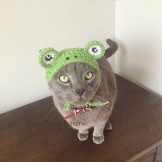 a gray cat wearing a green crocheted hat on top of a wooden table