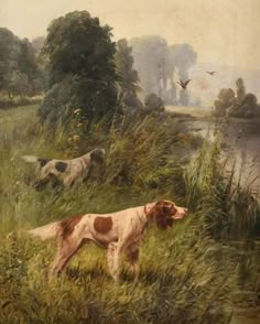 a painting of two dogs in a field