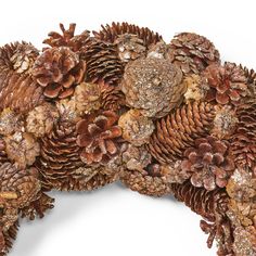 a bunch of pine cones that are on top of each other