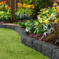 a garden filled with lots of different types of flowers