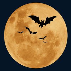 bats flying in front of the full moon