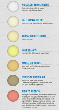 What does your pee say about you? Diagram shows what's healthy | Color ...