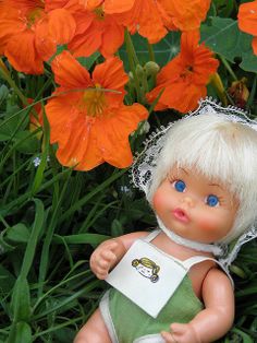 a small doll sitting in the grass next to flowers