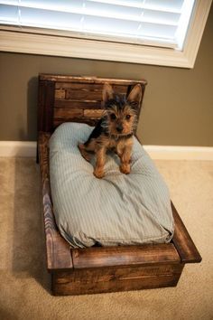 a small dog sitting on top of a wooden bed