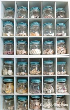 the shelves are filled with glass jars and seashells