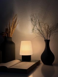 two vases with plants and an open book on a table