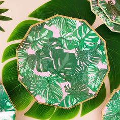 some green leaves on a pink and white plate with gold rimmed plates in the shape of hexagons