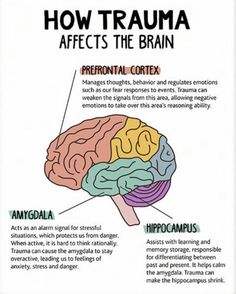 Cognitive Approach Psychology, Psychology Diagrams, Clinical Social Work