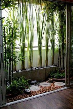 a room filled with lots of plants and rocks in front of a window on top of a hard wood floor