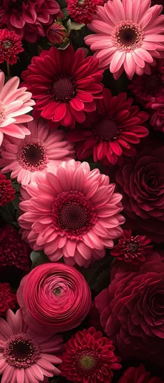 pink and red flowers are arranged in the middle of a photo, with dark background