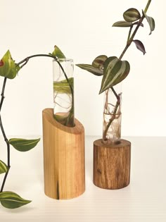 two vases with plants in them sitting on a wooden stand next to each other