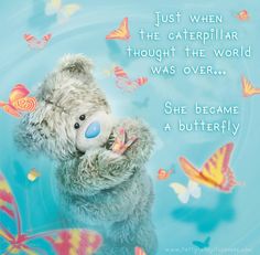 a teddy bear with butterflies around it and the caption just when the caterpillar thought the world was over she become a butterfly