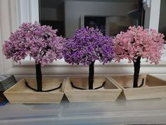 three wooden trays with trees in them