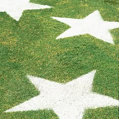 an image of a grass field with white stars on it and the words la jolie pluse written in french