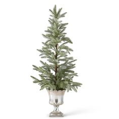 a small pine tree in a vase on a white background