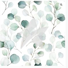 watercolor painting of green leaves on white background