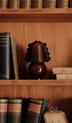 the books are lined up on the wooden shelf next to the lamp and other items