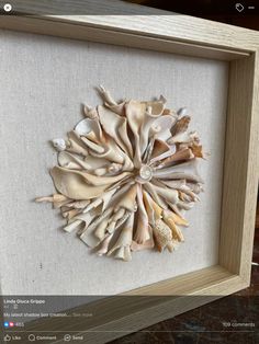 a framed artwork with seashells on it