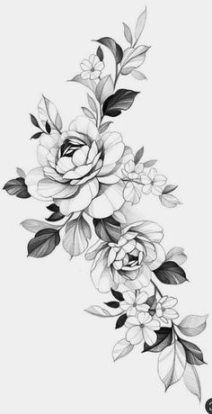 black and white drawing of flowers on a white background