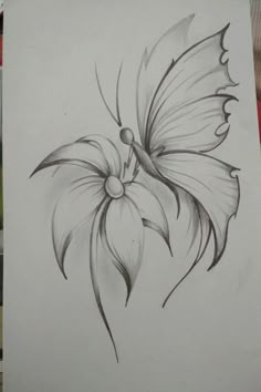 California Poppy (1 pm), Option 2 | Pencil drawings of flowers, Flower