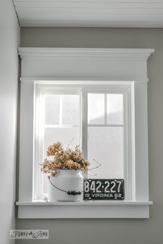 a potted plant sitting on top of a window sill next to a license plate