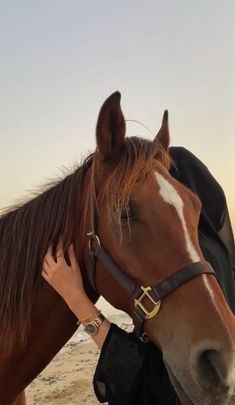 a woman standing next to a brown horse