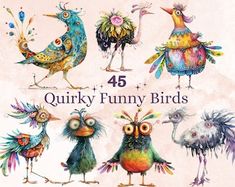 the book cover for 45 quirky funny birds is shown in different colors and sizes