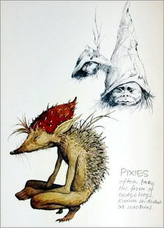 two drawings of an animal with feathers on it's head and another drawing of a fox in the background