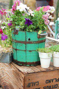 some flowers are sitting in a bucket on a table with other potted plants next to it